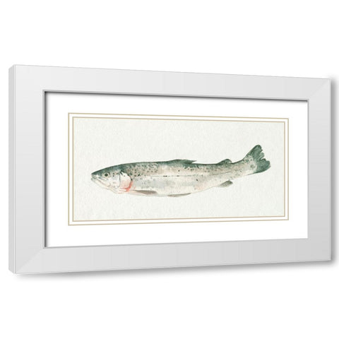 Fresh Catch IV White Modern Wood Framed Art Print with Double Matting by Caroline, Emma