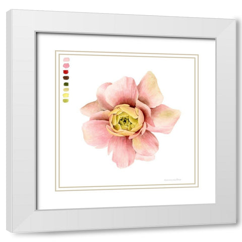 Watercolor Ranunculus Study I White Modern Wood Framed Art Print with Double Matting by Popp, Grace