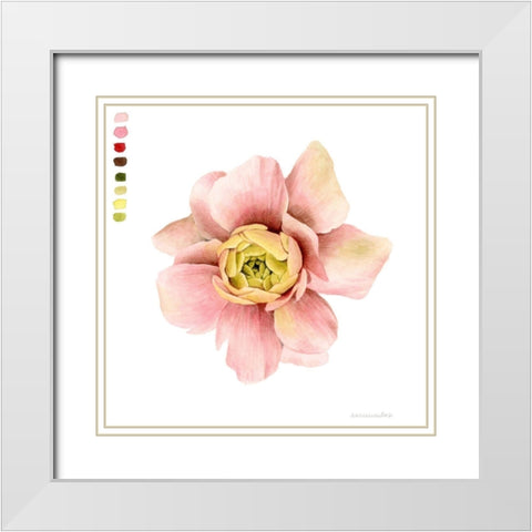 Watercolor Ranunculus Study I White Modern Wood Framed Art Print with Double Matting by Popp, Grace