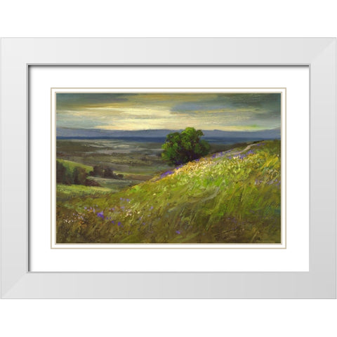 Path Up Windy Hill White Modern Wood Framed Art Print with Double Matting by Finch, Sheila