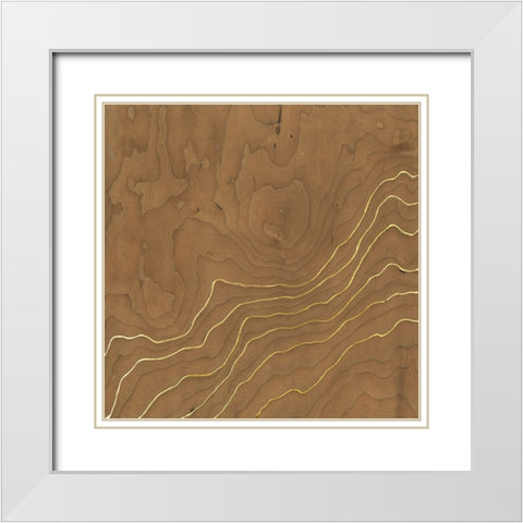 Golden Veneer I White Modern Wood Framed Art Print with Double Matting by Lam, Vanna