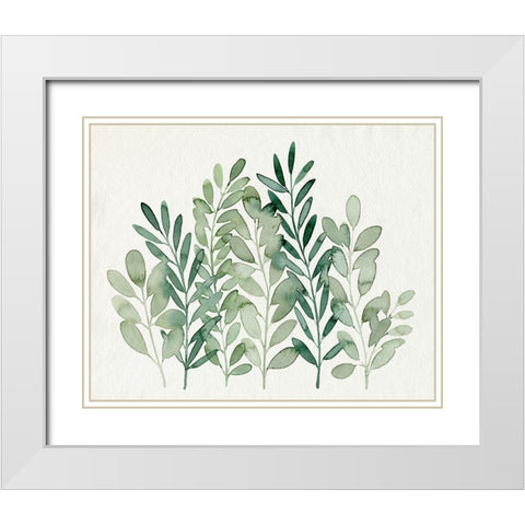 Foraged Greens I White Modern Wood Framed Art Print with Double Matting by Popp, Grace