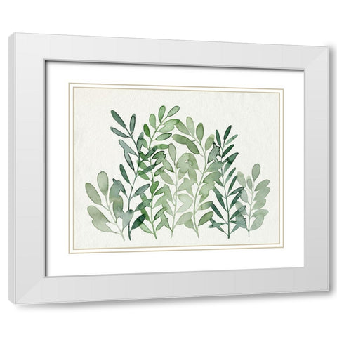 Foraged Greens II White Modern Wood Framed Art Print with Double Matting by Popp, Grace