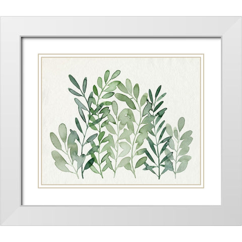 Foraged Greens II White Modern Wood Framed Art Print with Double Matting by Popp, Grace