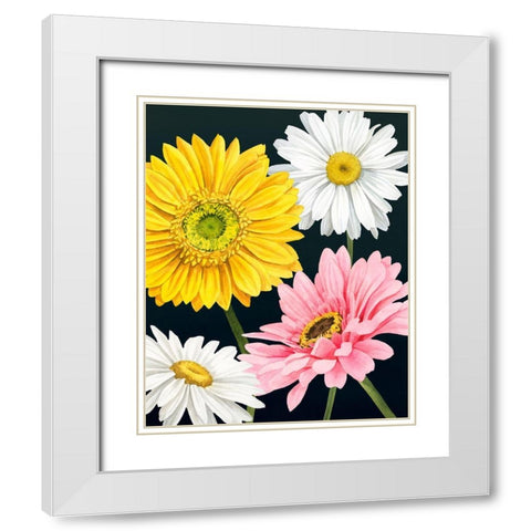 Gerbera Daisy I White Modern Wood Framed Art Print with Double Matting by Popp, Grace