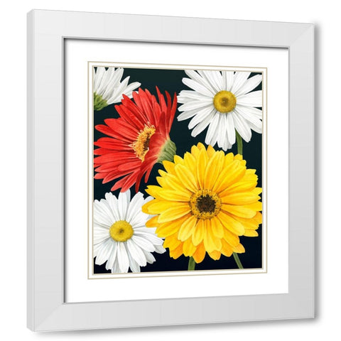 Gerbera Daisy II White Modern Wood Framed Art Print with Double Matting by Popp, Grace