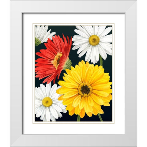 Gerbera Daisy II White Modern Wood Framed Art Print with Double Matting by Popp, Grace