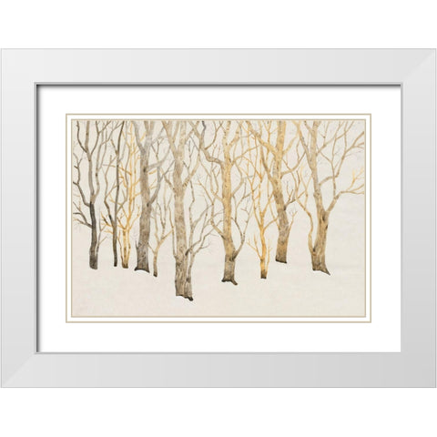 Bare Trees I White Modern Wood Framed Art Print with Double Matting by OToole, Tim