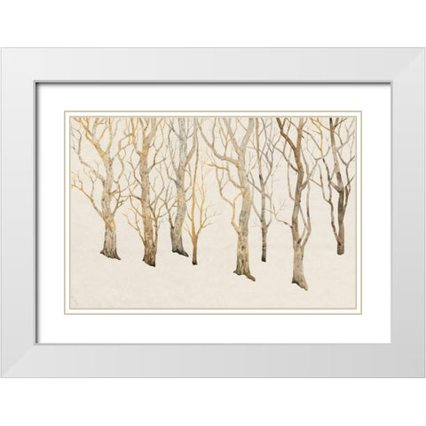 Bare Trees II White Modern Wood Framed Art Print with Double Matting by OToole, Tim