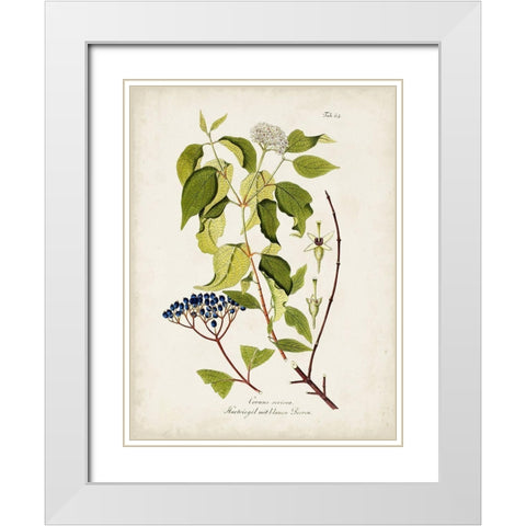 Tree in Bloom I White Modern Wood Framed Art Print with Double Matting by Unknown