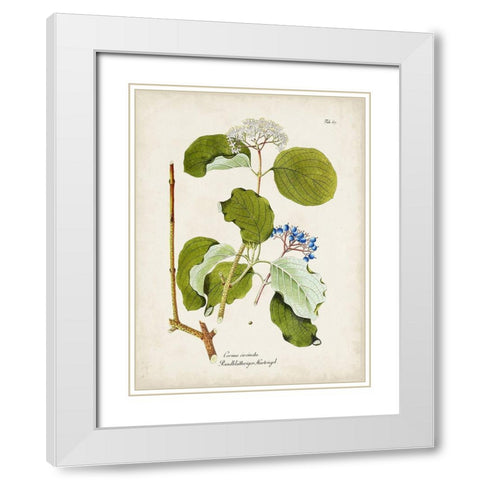 Tree in Bloom II White Modern Wood Framed Art Print with Double Matting by Unknown