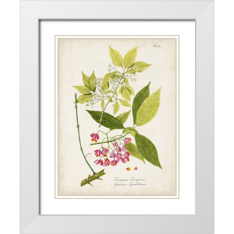 Tree in Bloom IV White Modern Wood Framed Art Print with Double Matting by Unknown