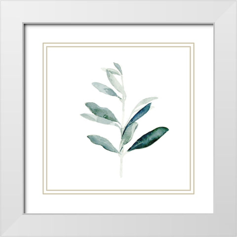 Summer Olive Branch I White Modern Wood Framed Art Print with Double Matting by Caroline, Emma