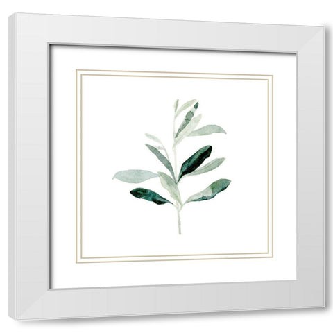 Summer Olive Branch II White Modern Wood Framed Art Print with Double Matting by Caroline, Emma