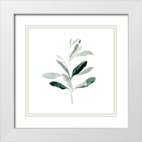 Summer Olive Branch II White Modern Wood Framed Art Print with Double Matting by Caroline, Emma