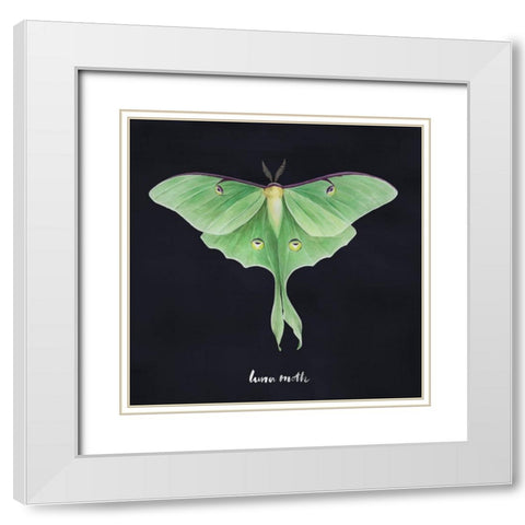 Luna Moth I White Modern Wood Framed Art Print with Double Matting by Popp, Grace