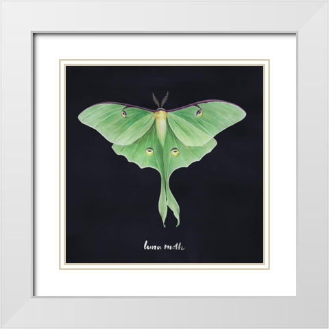 Luna Moth I White Modern Wood Framed Art Print with Double Matting by Popp, Grace