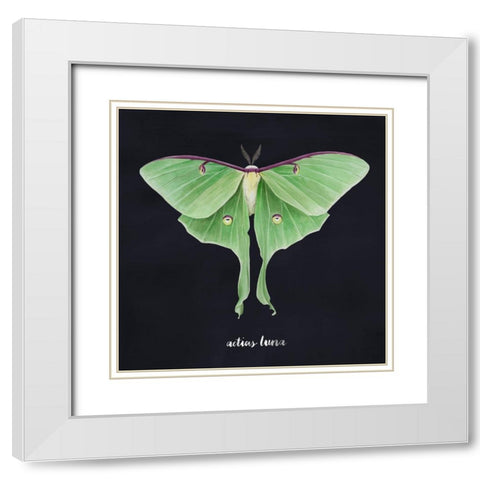 Luna Moth II White Modern Wood Framed Art Print with Double Matting by Popp, Grace