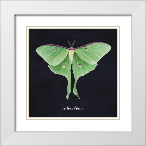 Luna Moth II White Modern Wood Framed Art Print with Double Matting by Popp, Grace