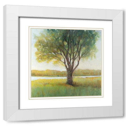 Shade Tree II White Modern Wood Framed Art Print with Double Matting by OToole, Tim