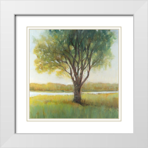 Shade Tree II White Modern Wood Framed Art Print with Double Matting by OToole, Tim