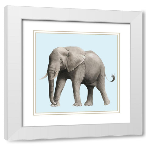 Twilight Safari IV White Modern Wood Framed Art Print with Double Matting by Popp, Grace