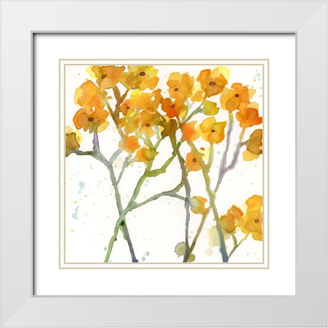 The Favorite Flowers VIII White Modern Wood Framed Art Print with Double Matting by Quin, Marabeth