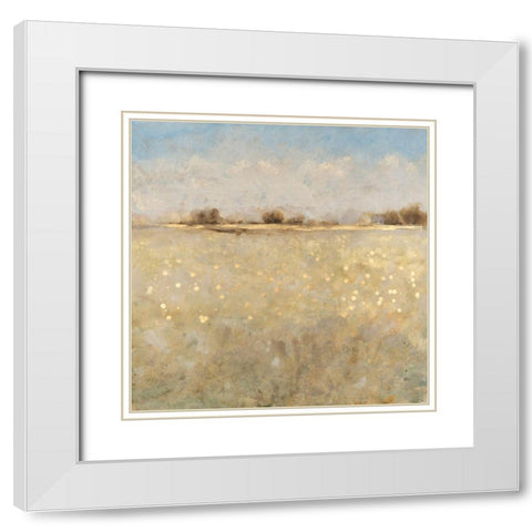 Meadow Plane I White Modern Wood Framed Art Print with Double Matting by OToole, Tim