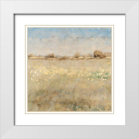 Meadow Plane II White Modern Wood Framed Art Print with Double Matting by OToole, Tim
