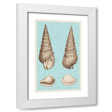 Sepia And Aqua Shells I White Modern Wood Framed Art Print with Double Matting by Vision Studio