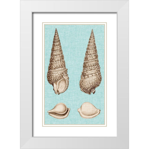 Sepia And Aqua Shells I White Modern Wood Framed Art Print with Double Matting by Vision Studio