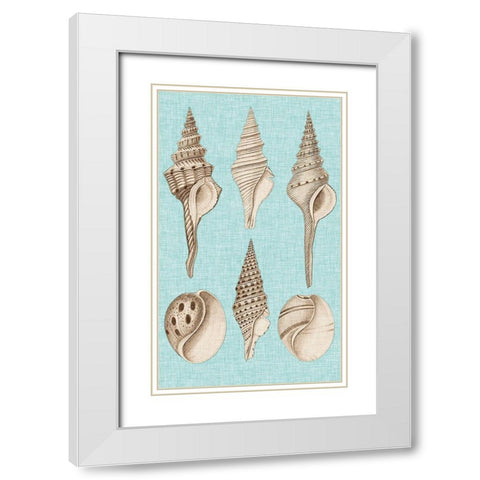 Sepia And Aqua Shells II White Modern Wood Framed Art Print with Double Matting by Vision Studio