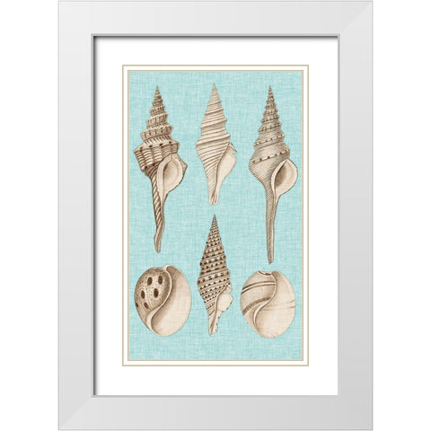 Sepia And Aqua Shells II White Modern Wood Framed Art Print with Double Matting by Vision Studio