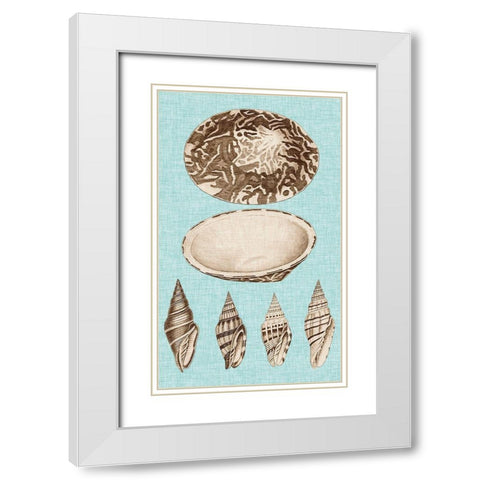 Sepia And Aqua Shells III White Modern Wood Framed Art Print with Double Matting by Vision Studio