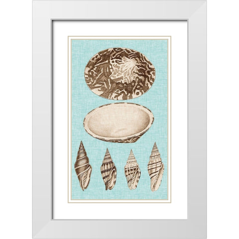 Sepia And Aqua Shells III White Modern Wood Framed Art Print with Double Matting by Vision Studio