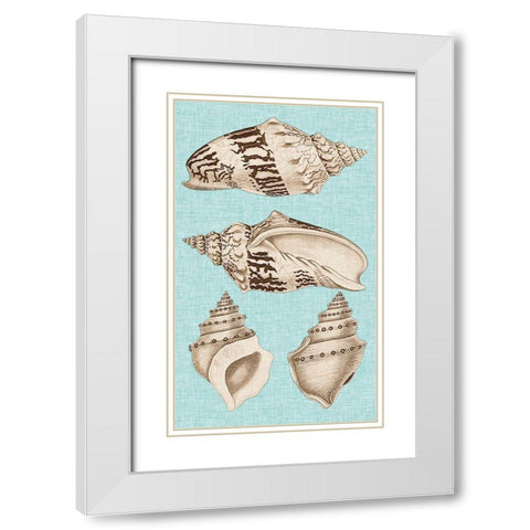 Sepia And Aqua Shells IV White Modern Wood Framed Art Print with Double Matting by Vision Studio