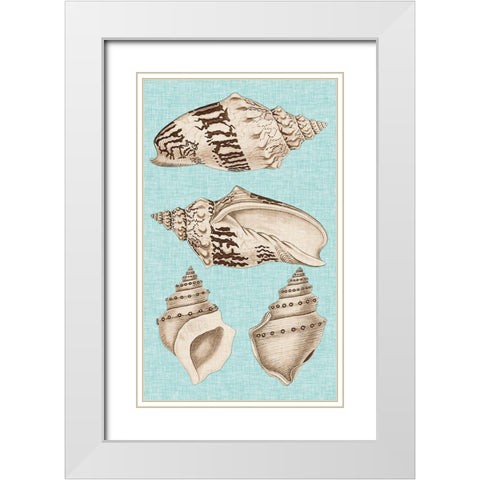 Sepia And Aqua Shells IV White Modern Wood Framed Art Print with Double Matting by Vision Studio