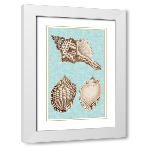 Sepia And Aqua Shells V White Modern Wood Framed Art Print with Double Matting by Vision Studio
