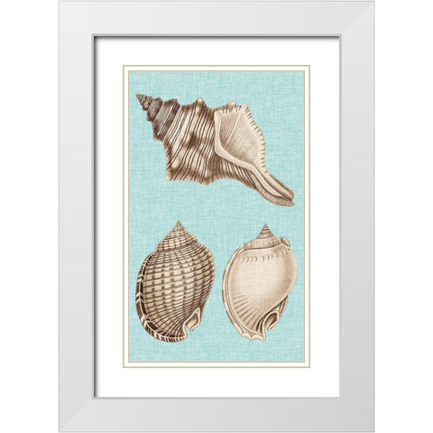 Sepia And Aqua Shells V White Modern Wood Framed Art Print with Double Matting by Vision Studio