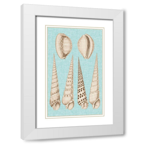 Sepia And Aqua Shells VI White Modern Wood Framed Art Print with Double Matting by Vision Studio