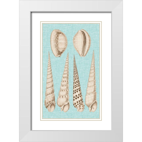 Sepia And Aqua Shells VI White Modern Wood Framed Art Print with Double Matting by Vision Studio