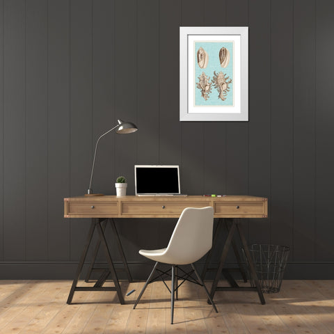 Sepia And Aqua Shells VII White Modern Wood Framed Art Print with Double Matting by Vision Studio