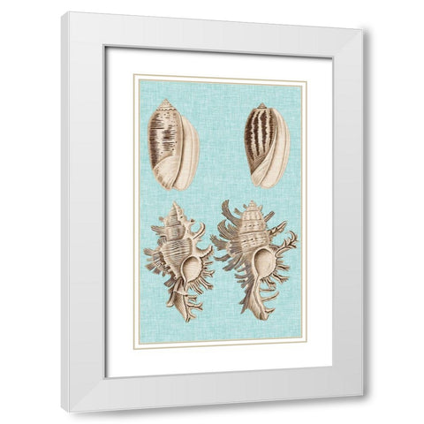 Sepia And Aqua Shells VII White Modern Wood Framed Art Print with Double Matting by Vision Studio