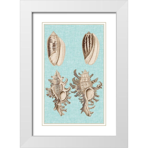 Sepia And Aqua Shells VII White Modern Wood Framed Art Print with Double Matting by Vision Studio