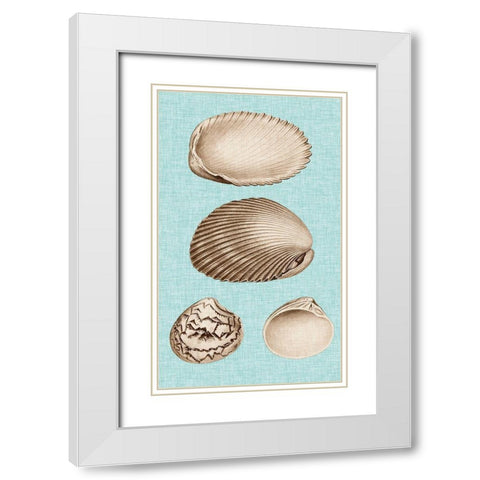 Sepia And Aqua Shells VIII White Modern Wood Framed Art Print with Double Matting by Vision Studio