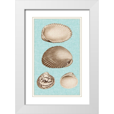 Sepia And Aqua Shells VIII White Modern Wood Framed Art Print with Double Matting by Vision Studio