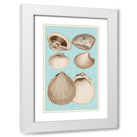 Sepia And Aqua Shells IX White Modern Wood Framed Art Print with Double Matting by Vision Studio