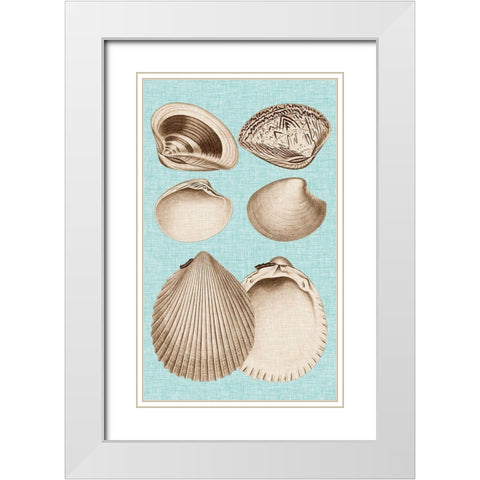 Sepia And Aqua Shells IX White Modern Wood Framed Art Print with Double Matting by Vision Studio