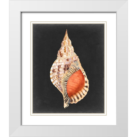 Graphic Grand Triton White Modern Wood Framed Art Print with Double Matting by Willett, Michael