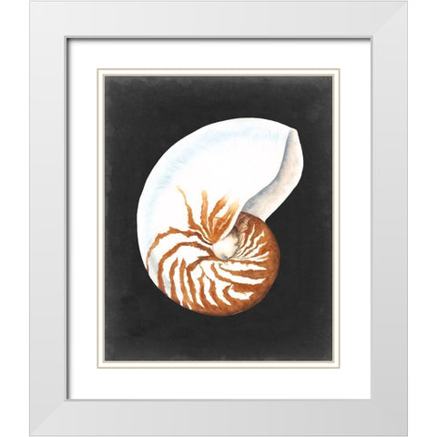 Graphic Nautilus White Modern Wood Framed Art Print with Double Matting by Willett, Michael